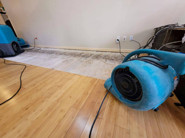 Professional Water Extraction technician working in Harris, MN